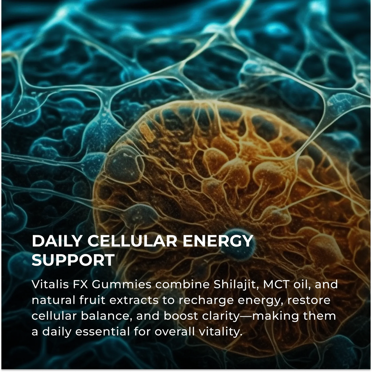 Elementa Labs Vitalis FX