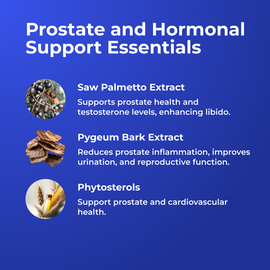 ProstaMD+ Prostate Multiphase Support