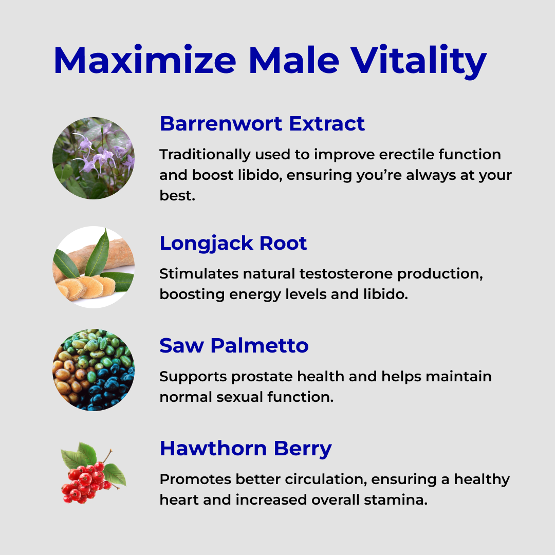 RagnarX TESTOSTERONE SUPPORT COMPLEX