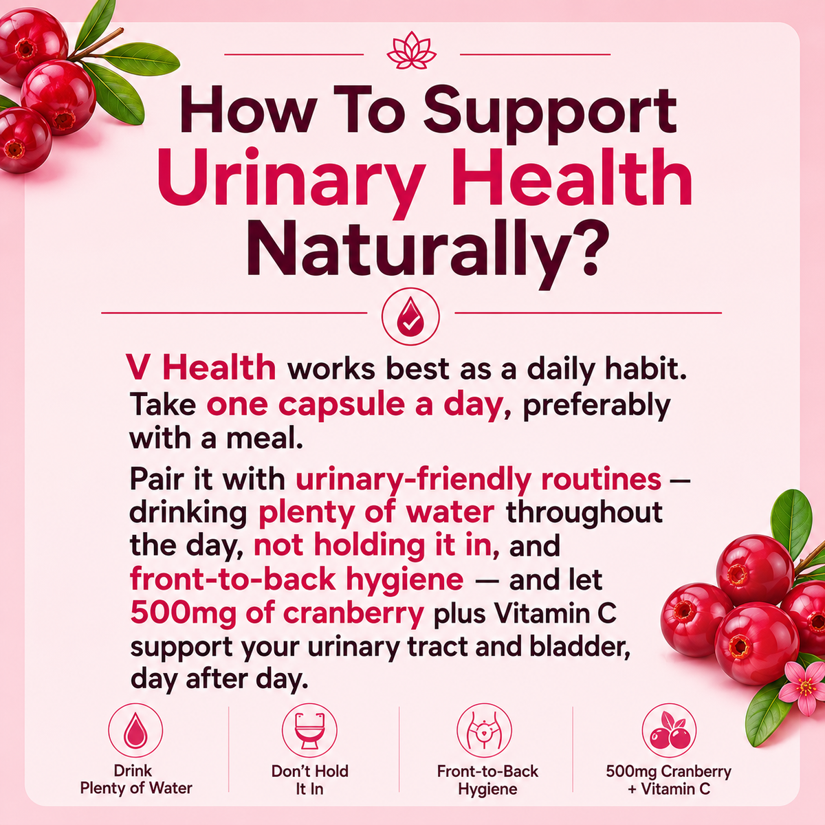 UroVita Care - V Health UTI Defense Pro
