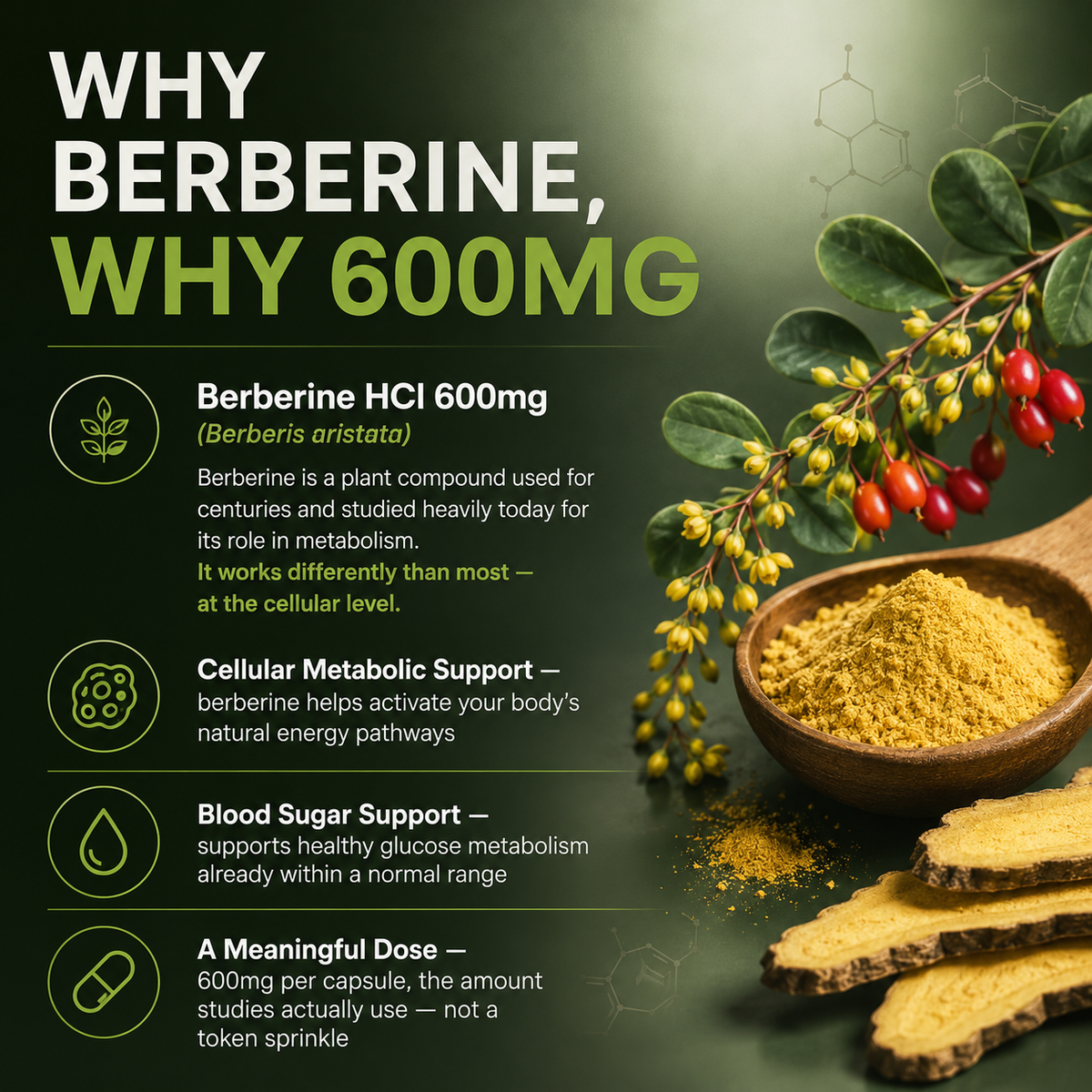 GlucoLife Plus Berberine HCI