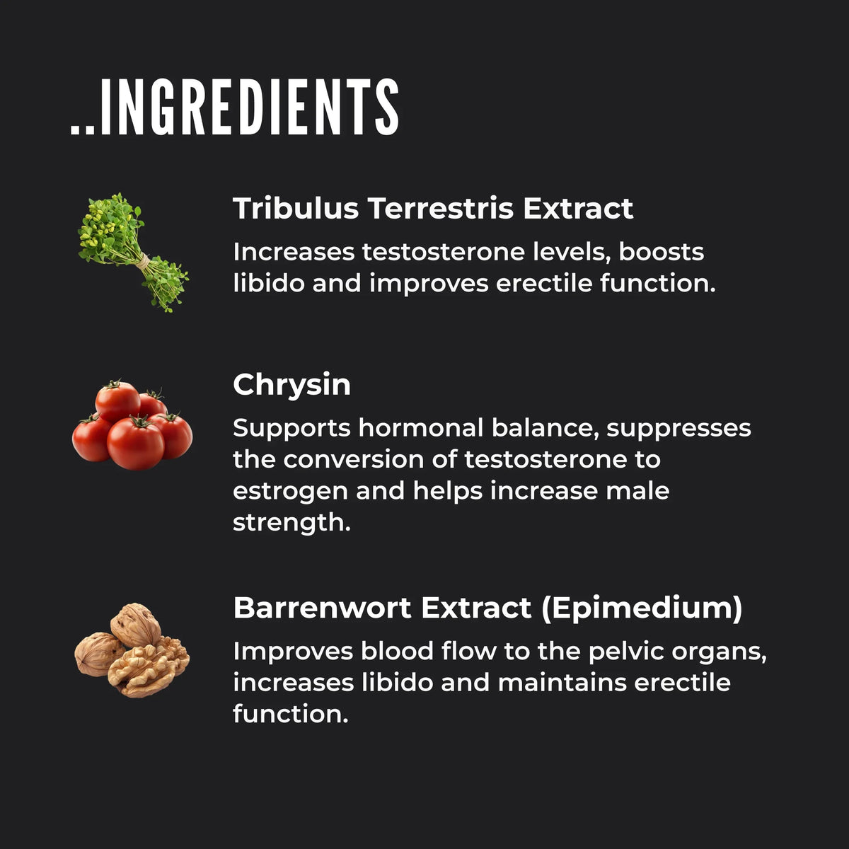 ERECTONINMD TESTOSTERONE SUPPORT COMPLEX