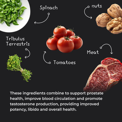 ERECTONINMD TESTOSTERONE SUPPORT COMPLEX