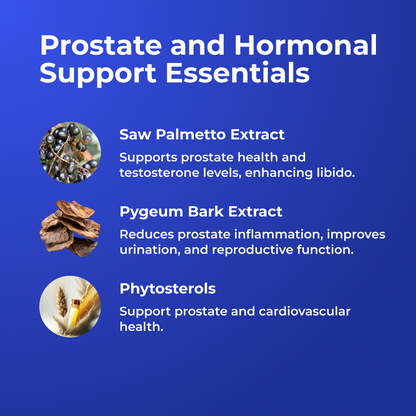ProstaMD+ Prostate Multiphase Support