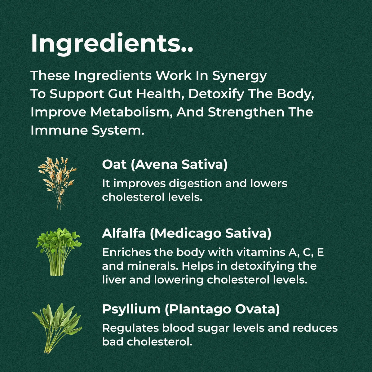 Slimlex Colon Detox
