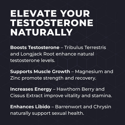 StallionX testosterone support complex