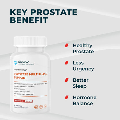 SizeMD+ Prostate Multiphase Support