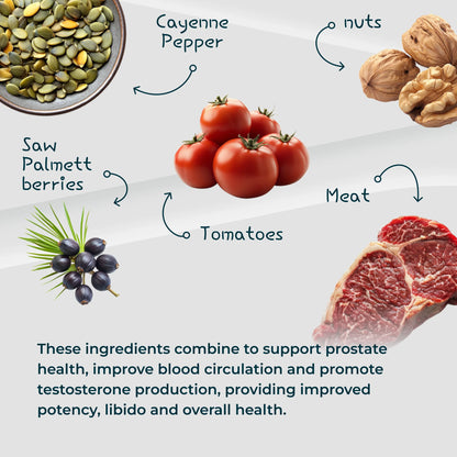 SizeMD+ Prostate Multiphase Support