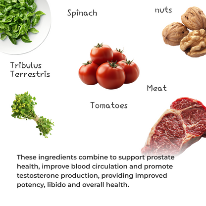 ALPHALINE TESTOSTERONE SUPPORT COMPLEX