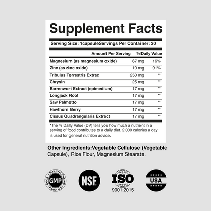 RagnarX TESTOSTERONE SUPPORT COMPLEX