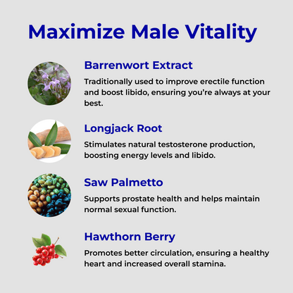 RagnarX TESTOSTERONE SUPPORT COMPLEX