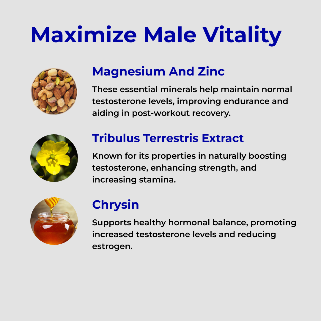 RagnarX TESTOSTERONE SUPPORT COMPLEX