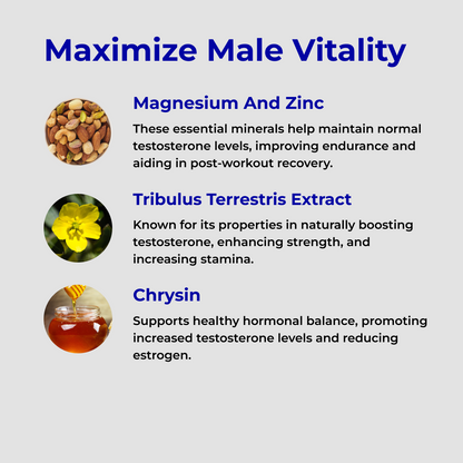 RagnarX TESTOSTERONE SUPPORT COMPLEX